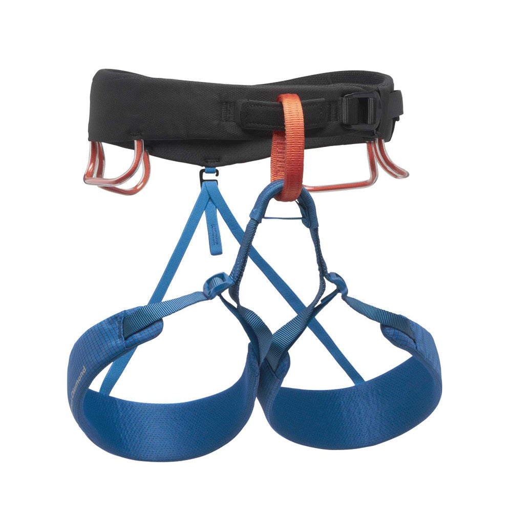 Momentum Harness