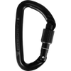 Session Screw Gate Locking Carabiner