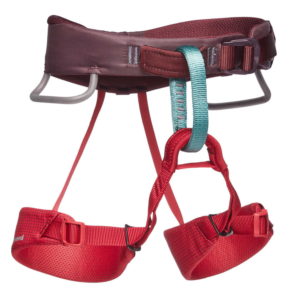 Momentum Kid's Harness